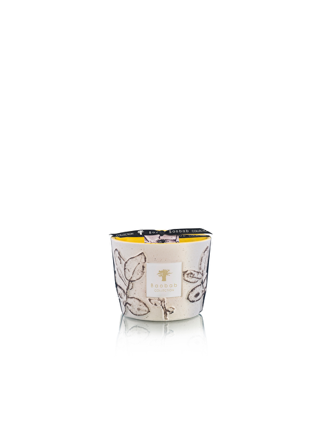 Geurkaars max10 folia calanque